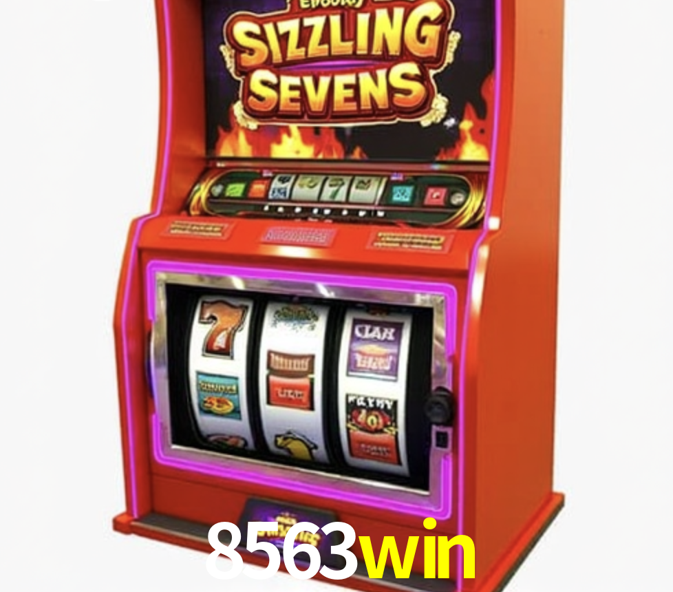Security Systems 8563win